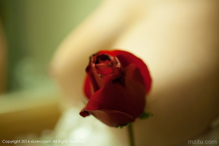 秀人 杨依 情人节快乐